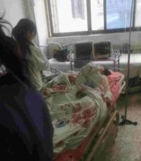 郑州爆料搬宿舍事件视频,搬宿舍事件引发热议